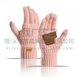 2025 Amazon New Winter Outdoor Riding Plus Warm Ladies Knitted Gloves Palm Plus Leather Non-slip Gloves