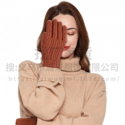 European And American Amazon Cross-border In Stock Autumn And Winter Gloves For Men And Women Warm Thick Double-layer Outdoor Cycling Gloves With Touch Screen